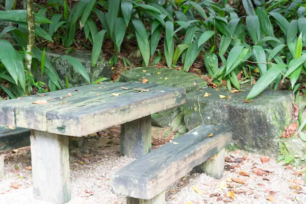 Träbänk eller stol isolerade i park i Singapore — Stockfoto