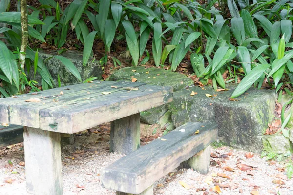 Banc ou chaise en bois isolé dans le parc à Singapour — Photo