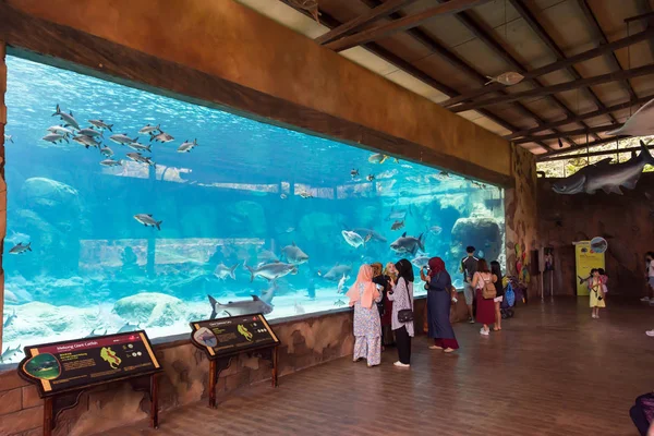 Acuario marino de Singapur Sentosa, Singapur, 14 de abril , —  Fotos de Stock