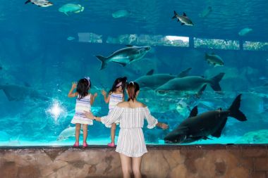 Singapur Nehri Safari ve Singapore Zoo akvaryum, Singapur, Ap