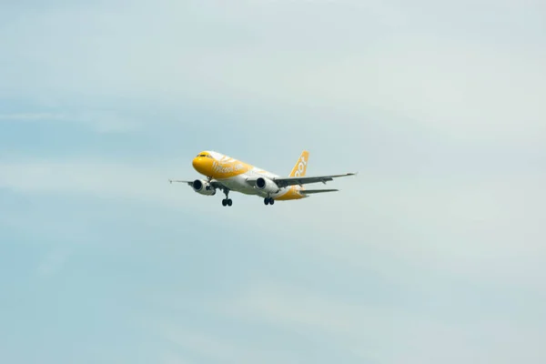 Scoot Airline Airplane Aterragem em Singapura Changi International — Fotografia de Stock