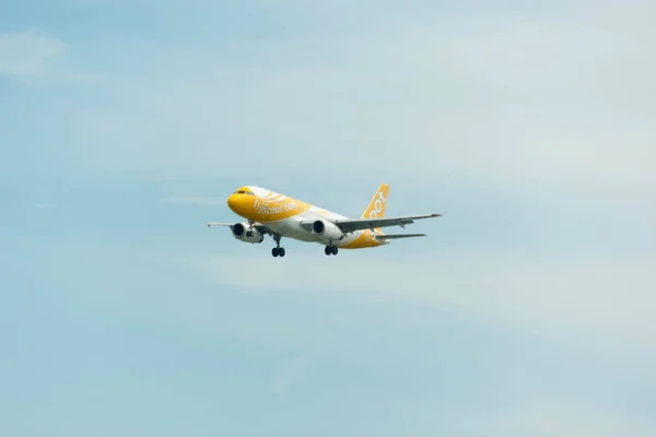 Scoot Airline Airplane Landing i Singapore Changi International - Stock-foto