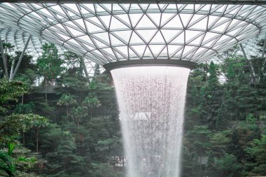 Singapur - 21 Aralık 2019: Yağmur Girdabı en büyük kapalı su falı