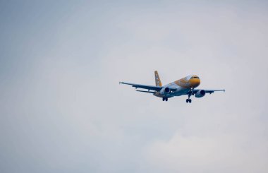 Changi Singapur - 23 Aralık 2019: Scoot Havayolları Uçak