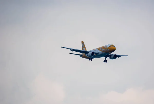 Changi Singapur - 23 Aralık 2019: Scoot Havayolları Uçak — Stok fotoğraf