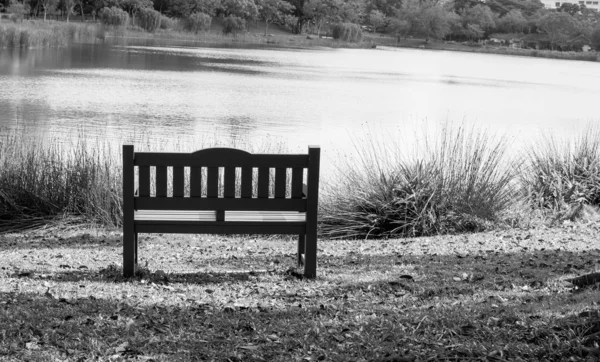 Ławka krzesło izolowane w parku z zieloną przyrodą i rzeką. W b — Zdjęcie stockowe
