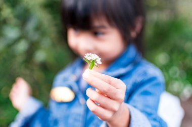 Küçük bir çiçeği tutan bir çocuğun eli. Paylaşmak ve vermek. Ebeveyn sevgisi ve annelik konsepti. Çocuk konseptini koru