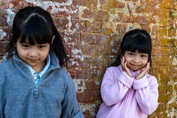 Ázsiai Azonos Női Ikrek Gyermek Visel Kabát Hideg Időben Álló — Stock Fotó