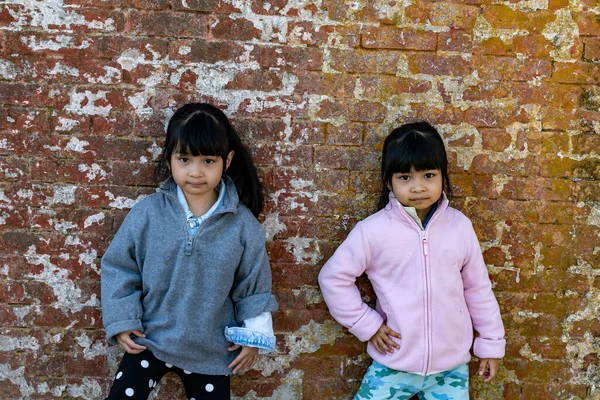 Дети Азиатских Близнецов Одеты Куртку Холодную Погоду Стоят Старом Кирпичном — стоковое фото