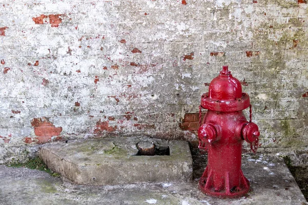 Old red water hydrants on a street with old brick wall background. Vintage water hydrant found on an old street