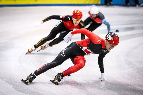Dresden, Almanya, 01 Şubat 2019: Kanadalı sürat patencisi Pascal Dion, Almanya 'nın Dresden kentindeki Energieverbund Arena' da düzenlenen Isu Kısa Pist Hız Pateni Dünya Şampiyonası sırasında yarışmaktadır..