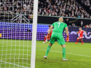 Wolfsburg, Almanya, 20 Mart 2019: Almanya ile Sırbistan arasında Wolfsburg 'da oynanan uluslararası maçta kaleci Marko Dmitroviç' in arkası.