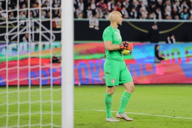 Wolfsburg, Almanya, 20 Mart 2019: Sırbistan milli takım kalecisi Marko Dmitroviç, Almanya ile Sırbistan arasındaki uluslararası dostluk maçı sırasında görev başında.