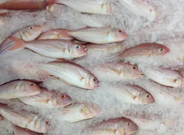 Заморожена риба на ринку — стокове фото