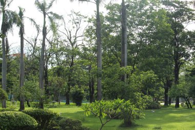 soyut arka plan için açık bahçe