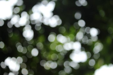 Arka plan için soyut bulanık açık Bahçe