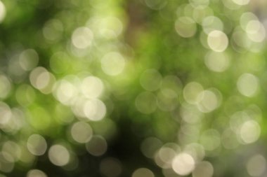 Arka plan için soyut bulanık açık Bahçe