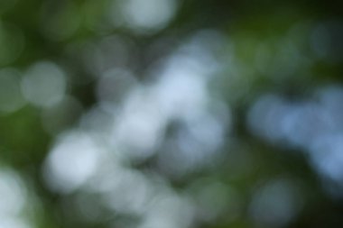 Arka plan için soyut bulanık açık Bahçe