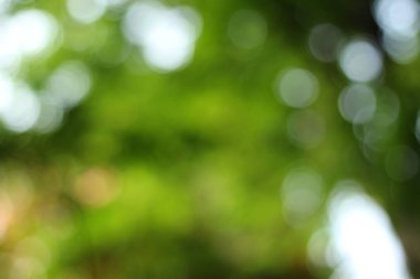 Arka plan için soyut bulanık açık Bahçe