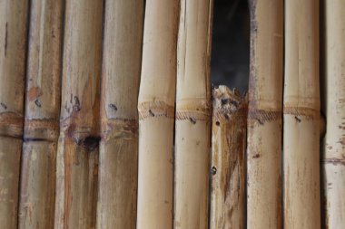 Eski kırık ahşap dokulu arka planı için