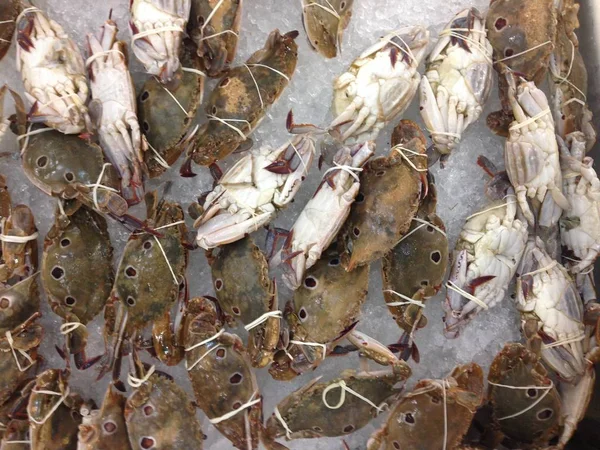 Muchos cangrejos están congelados — Foto de Stock