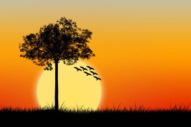 Silhouette ağaç ve kuşlar