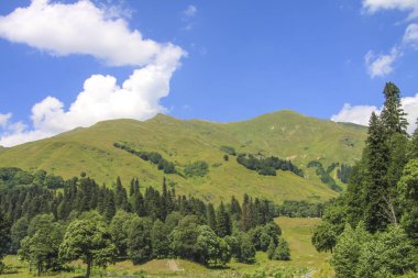 Alpin çayırlar pitoresk doğal güneşli manzara