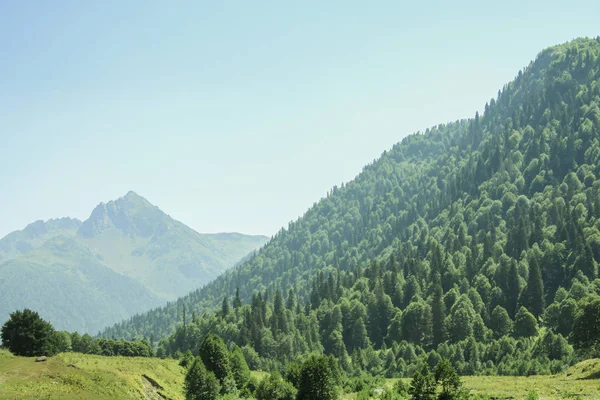 Malerische Naturlandschaft auf Bergen. — Stockfoto