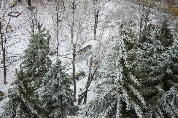 Hermoso panorama invernal al aire libre. Árboles en un parque cubierto de nieve . —  Fotos de Stock