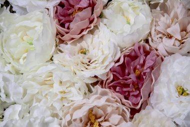 Çiçeklerin romantik arkaplanı. Büyük bir buket beyaz ve pembe şakayık çiçeği..