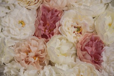 Çiçeklerin romantik arkaplanı. Büyük bir buket beyaz ve pembe şakayık çiçeği..