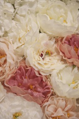 Çiçeklerin romantik arkaplanı. Büyük bir buket beyaz ve pembe şakayık çiçeği..