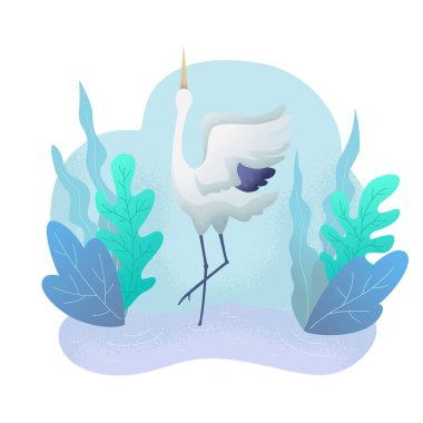 Bitkilerin arasında gölde dans eden beyaz turna. Dünya Kuş Günü.