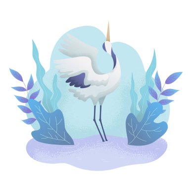 Bitkilerin arasında gölde dans eden beyaz turna. Dünya Kuş Günü.