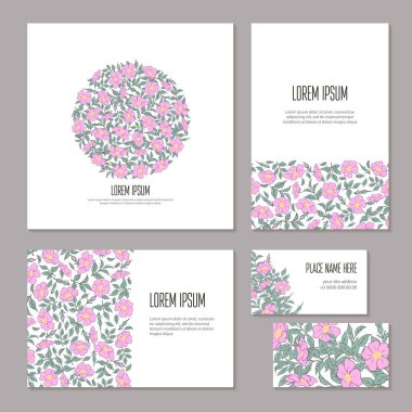 Yaban gülü çiçekleri, tomurcukları ve yaprakları soyutlanmış dallarda. Düğün şablonu taslağı, kart, kitapçık ve broşür.