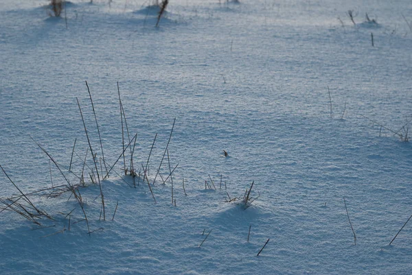 Фон свежей текстуры снега синим тоном — стоковое фото