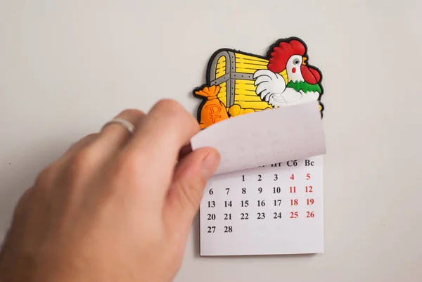 Tear-off calendar, a symbol of the new year rooster, — Stock Photo, Image