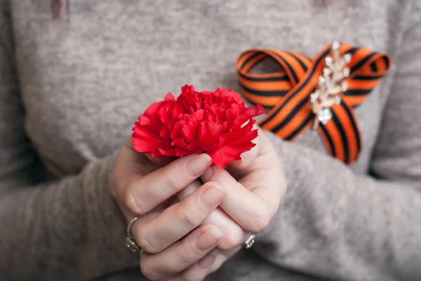 A girl holds a red carnation, — Stock Photo, Image