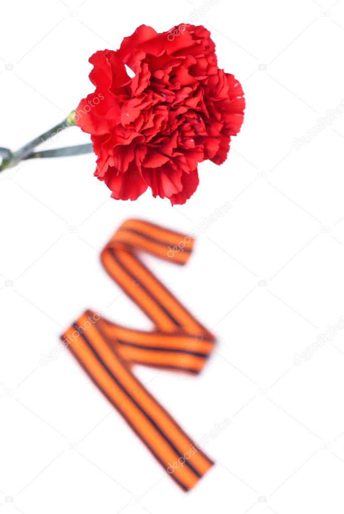 Red Carnation St. George ribbon on white background, symbol of the great Victory over the Nazis,