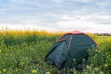 Yeşil çadır kolza tohumu sahada duruyor,