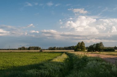 Yolda traktör sürmek,