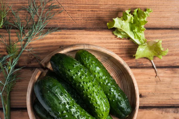 Whole cucumbers, lettuce — Stock Photo, Image