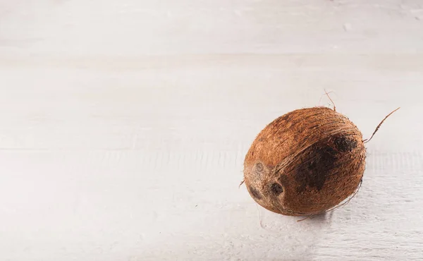 Coco sobre um fundo branco. — Fotografia de Stock