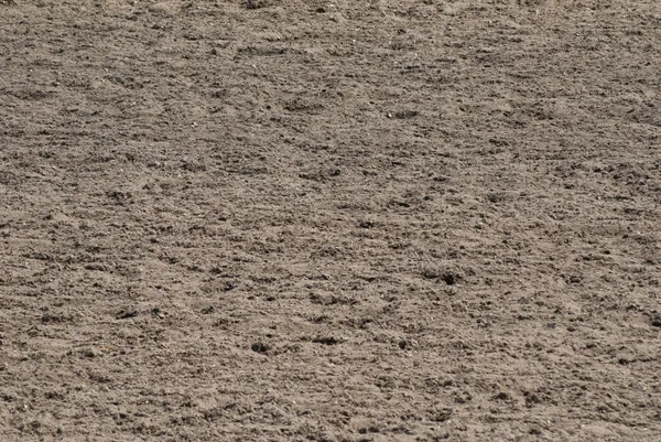 Pista de carreras textura, huellas de cascos en la arena, Hipódromo en un día soleado — Foto de Stock