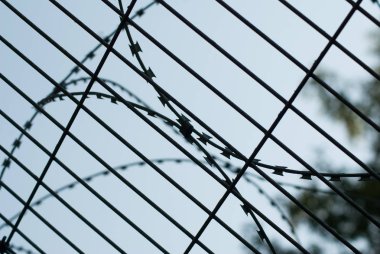 Mavi gökyüzüne karşı dikenli tel yakın çekim