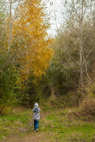 Petit garçon dans le parc d'automne, — Photo