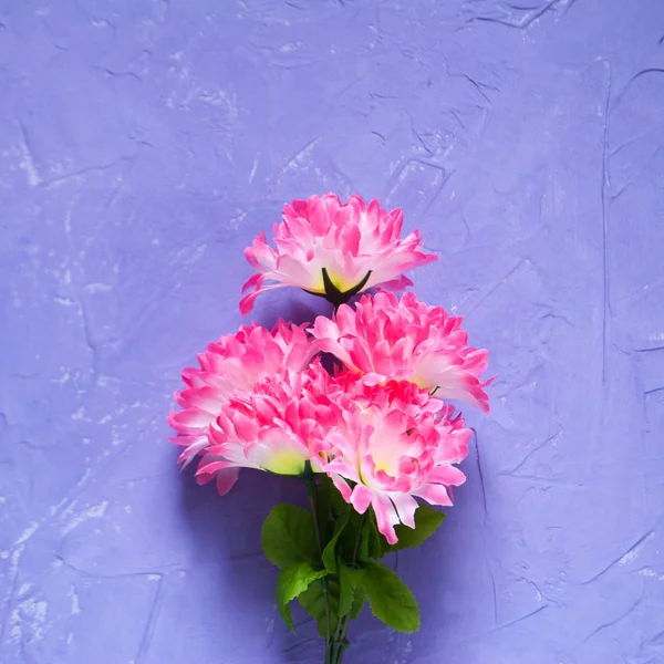 Helle Blumen auf violettem Hintergrund, — Stockfoto