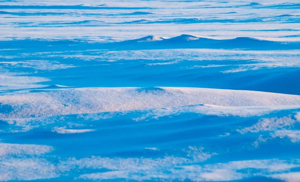Голубые сумерки, зимний пейзаж , — стоковое фото