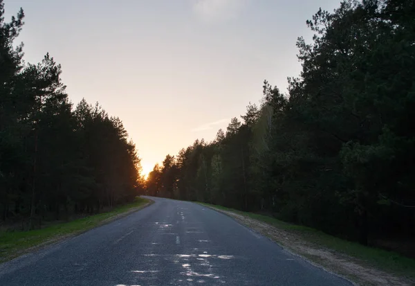 Pôr do sol em uma estrada florestal , — Fotografia de Stock