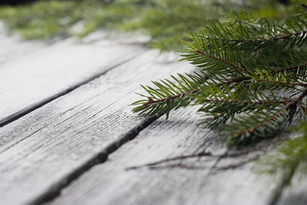 Fond en bois blanc avec des branches d'épinette gros plan. Contexte festif , — Photo